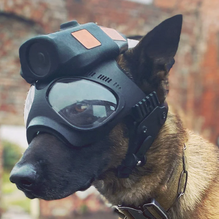 Dog gear Protective Tactical equipment K9 tactical dog helmet safety dog  #k9 #dog 