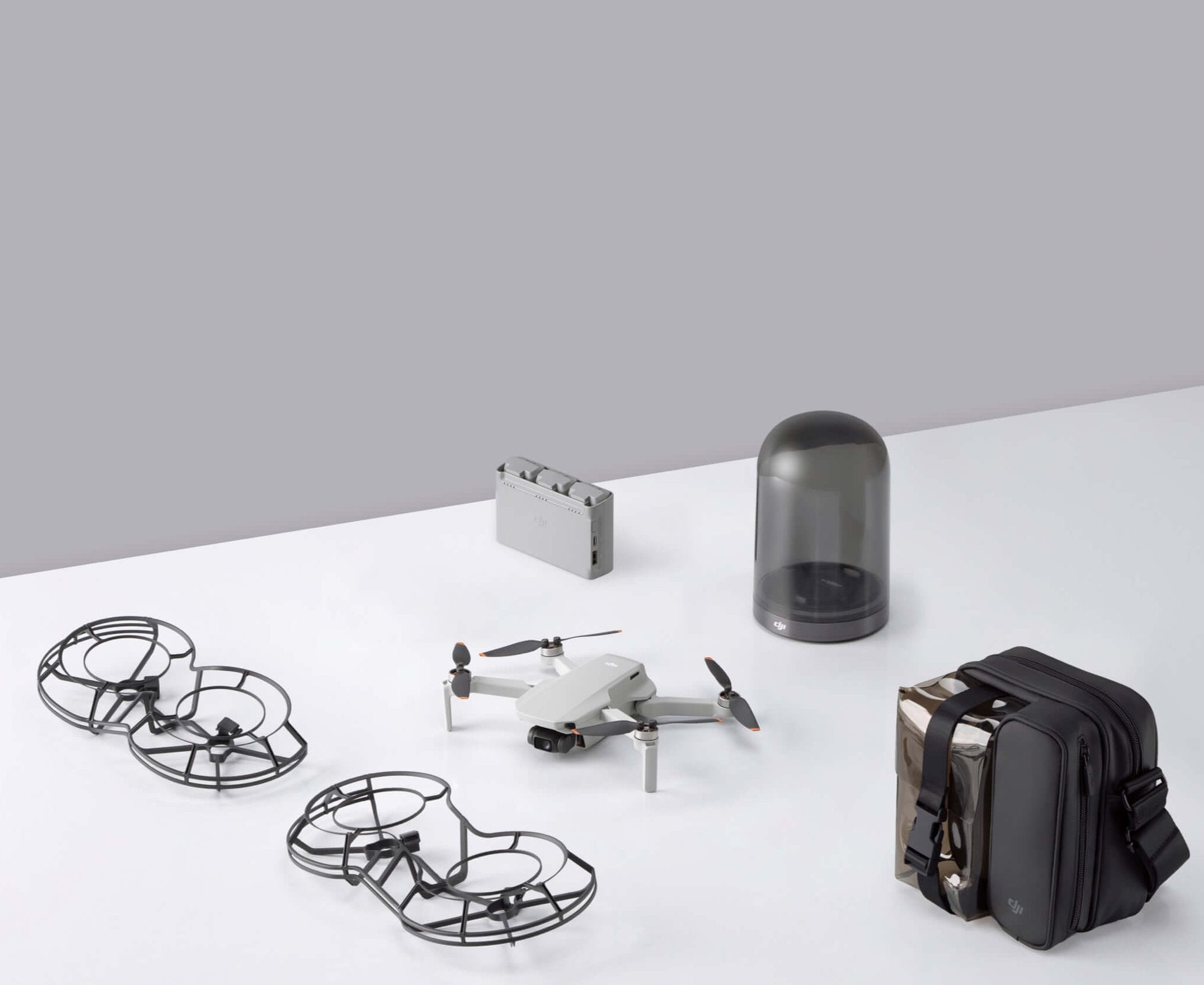 Dji mavic mini store wind resistance